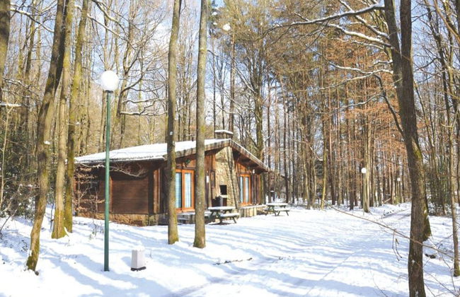 Chalet in Belgium With Cozy Wood Interior - Foto 20