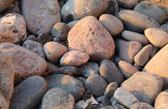 Snug Apartment in Kropelin Germany - Foto 60