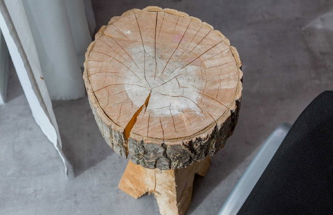 Lovely, Modern, 4-person Apartment in the Heart of Koudekerke - Photo 77