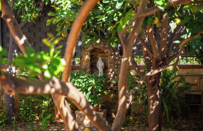 Solemar Sicilia - Villa Mariù - Foto 35