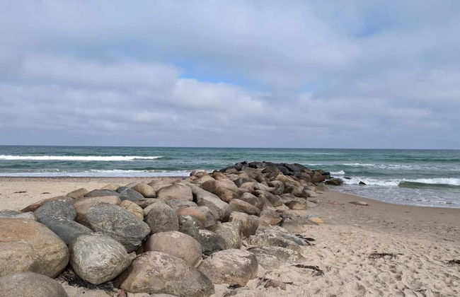 6 Person Holiday Home in Skagen - Foto 76