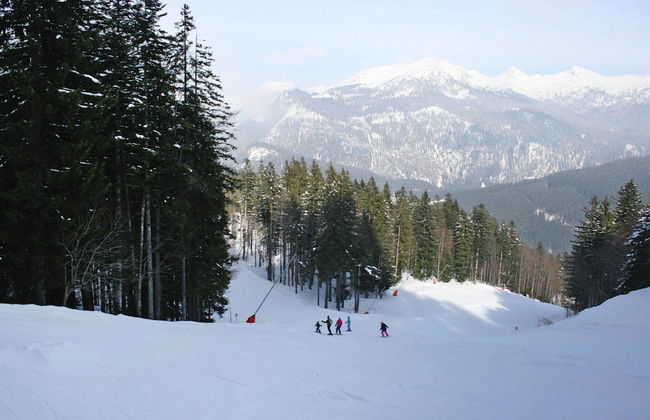 Holiday Resort Altaussee, Lichtersberg - Photo 9