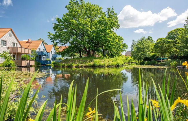 Apartamento de 2 quartos em Göhren-Lebbin com piscina e jardim - Foto 43