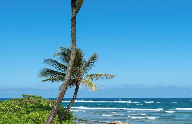 Hanalei Colony Resort I-2 - Foto 36