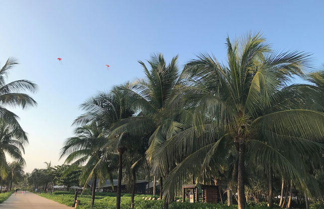 10 Bedroom Apartment 300m From The Sea - Foto 61