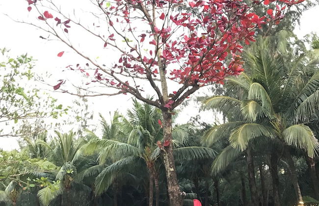 10 Bedroom Apartment 300m From The Sea - Foto 69