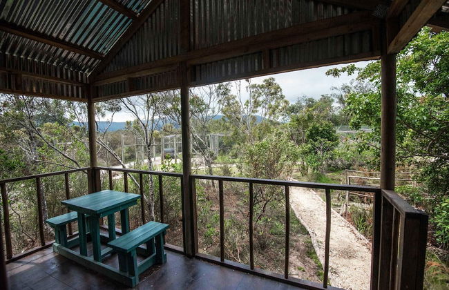 Sleep Whiskers Away From the Lions and " Feel " Them Roar! Cabin 3 - Foto 8