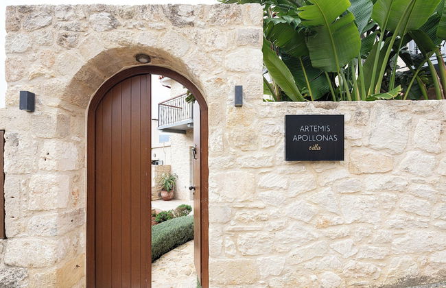 Artemis Apollonas Villa - Photo 34