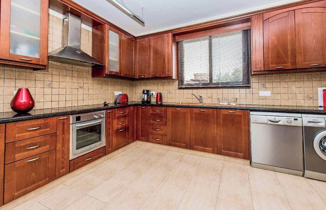 Villa Nikos Argaka - Photo 4