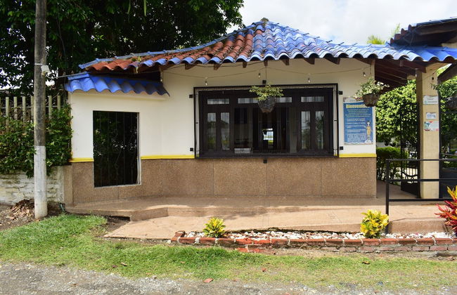 Tulaima - Foto 18