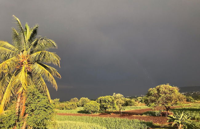 ingawale farmhouse - Foto 45