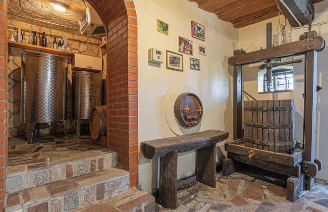 Vineyard Cottage Brodaric - Foto 14