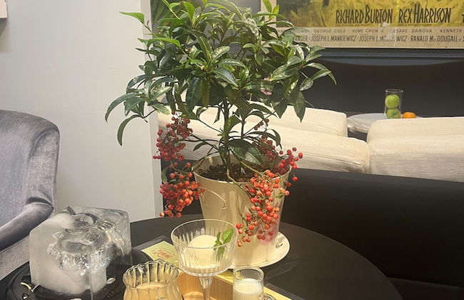 Hôtel de Flore - Photo 20