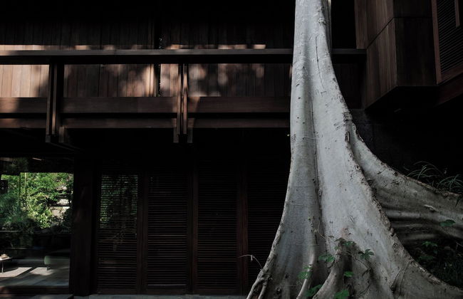 Janjisurga by Ekosistem - Foto 24