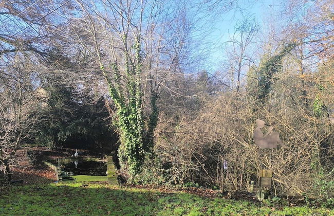 Charming Studio the Heart of the Forest - Foto 24
