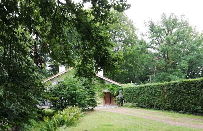 Charming Studio the Heart of the Forest - Foto 26