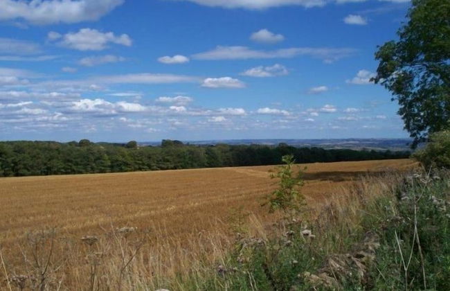 Bridge Farm Holiday Cottages - Foto 54