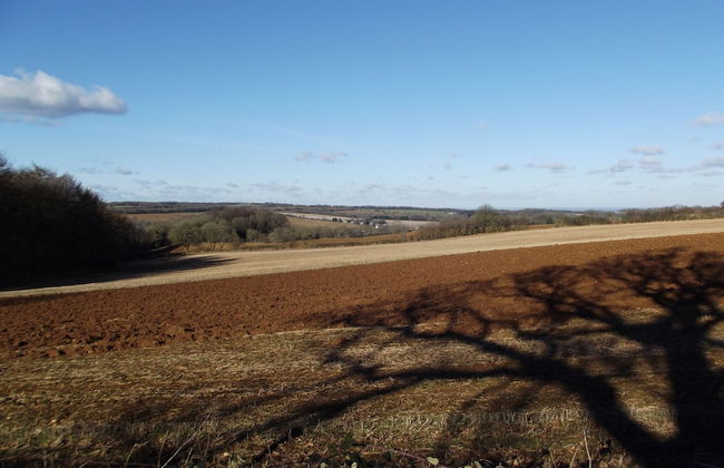 Bridge Farm Holiday Cottages - Foto 40