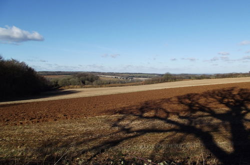 Foto 40 - Bridge Farm Holiday Cottages