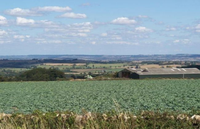 Bridge Farm Holiday Cottages - Foto 60