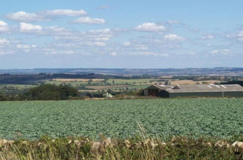 Foto 59 - Bridge Farm Holiday Cottages