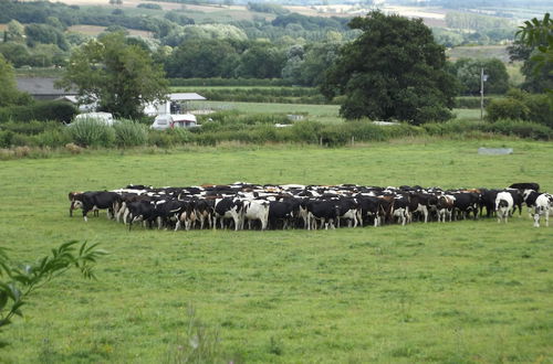 Foto 65 - Bridge Farm Holiday Cottages