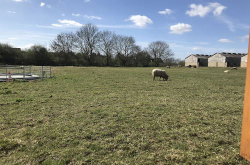 Foto 52 - Bridge Farm Holiday Cottages