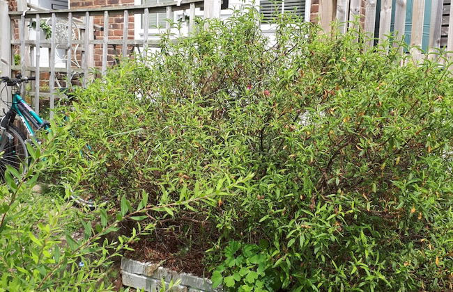 1 Bed Flat - Sleeps 2 - Pets - Garden - Parking - Foto 9