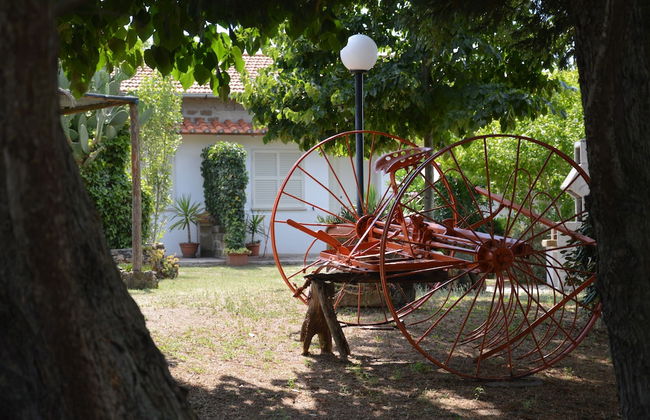 Tenuta Di Pontesodo - Foto 46