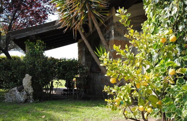 Tenuta Di Pontesodo - Foto 32