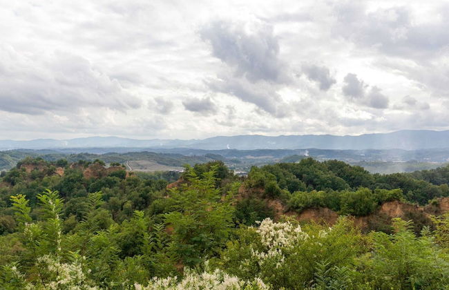 Nice Apartment in Pian di Sco-campiglia With Sauna - Foto 55