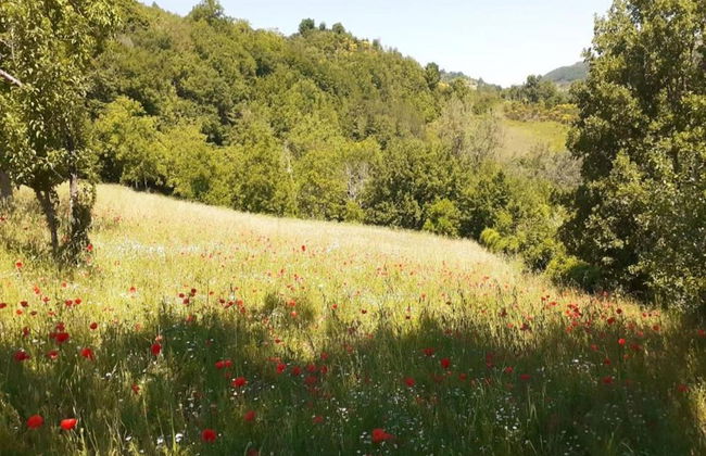 Farmhouse in Giano Dell'umbria with Hot Tub, Swimming Pool - Foto 33