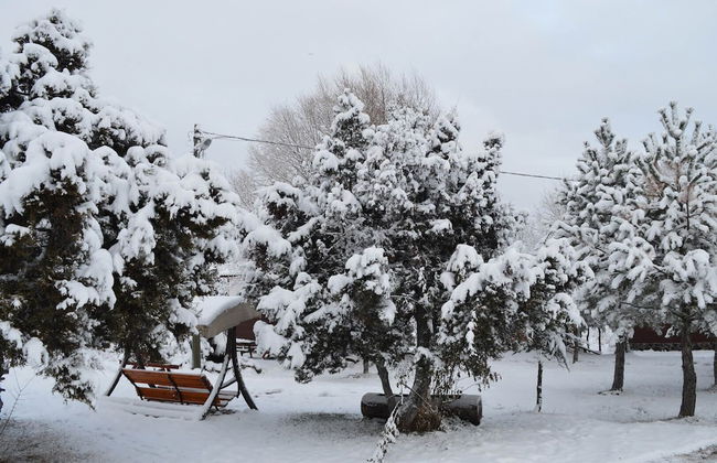 Kibriscik Koroglu Dag Evleri - Foto 45