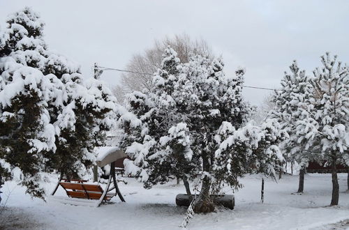 Foto 45 - Kibriscik Koroglu Dag Evleri