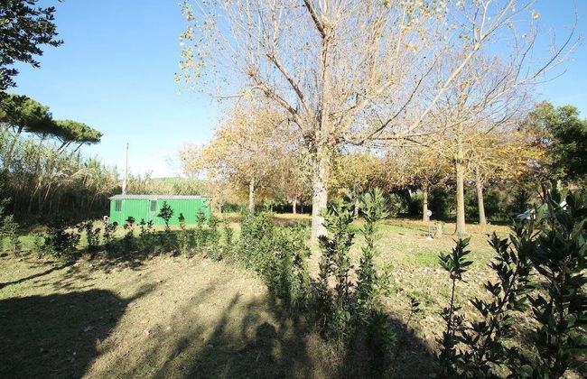 Agriturismo Borgo Podernovo - Foto 60