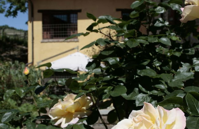 Agriturismo Tenuta Antica - Foto 56