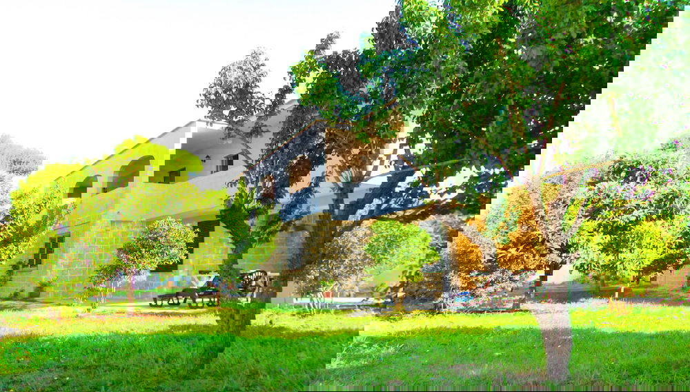 Imagem principal