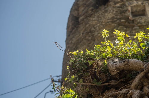 Photo 35 - Muin a Ventu Historical Tower