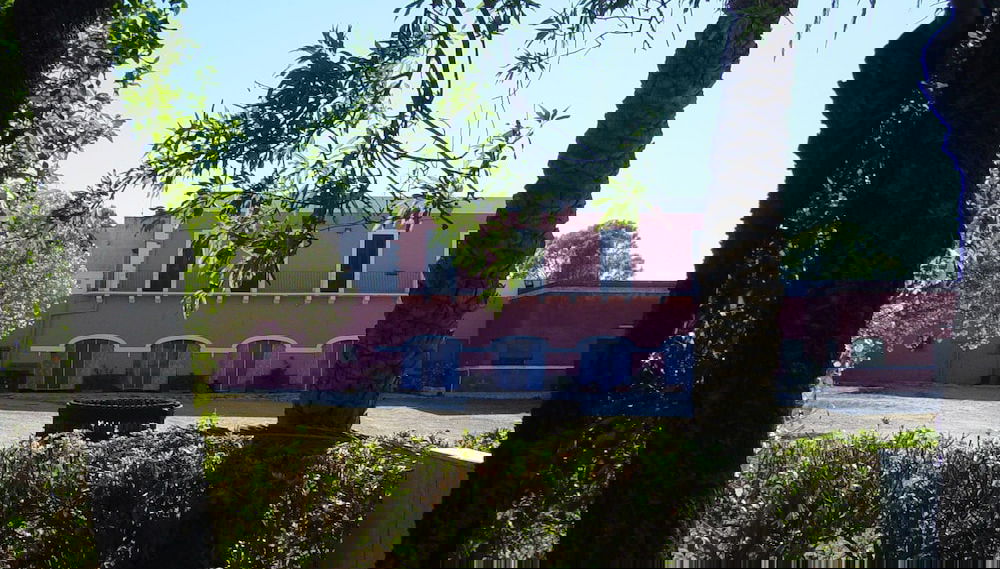 Image principale