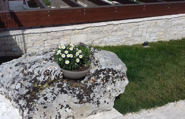 Agriturismo Nonna Rosa - Foto 5
