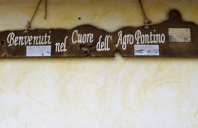 Agriturismo La Lestra - Foto 22