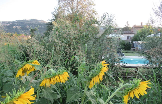 Country House Podere Casorbica - Foto 46