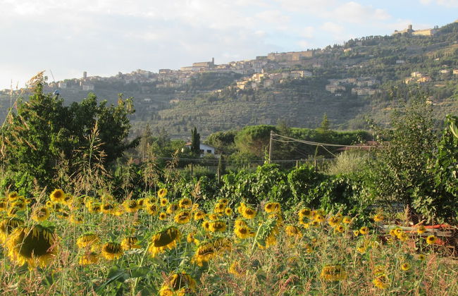 Country House Podere Casorbica - Foto 47