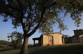 Photo 3 - Agriturismo Belvedere Pierini e Brugi