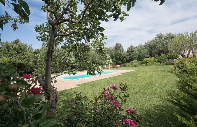 Trullo Petrelli - Foto 20