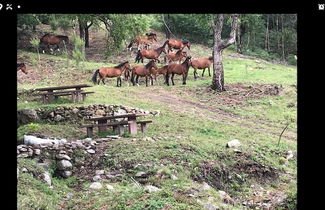 Photo 3 - Quiet House in Viana do Castelo Pets Allowed