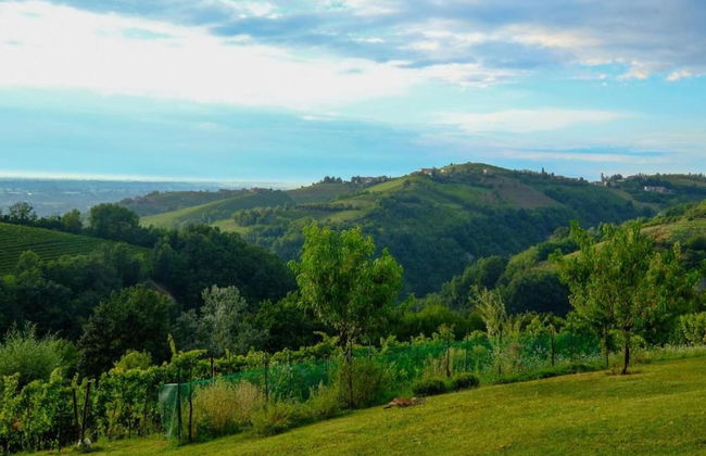 Mansion in Langhe Hills With Pool - Foto 31