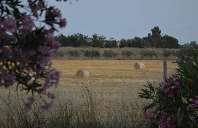 Farmhouse Near Montalto di Castro Beaches - Foto 36
