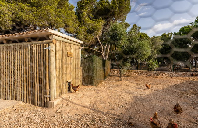 Lago Resort Menorca - Villas & Bungalows del Lago - Foto 23
