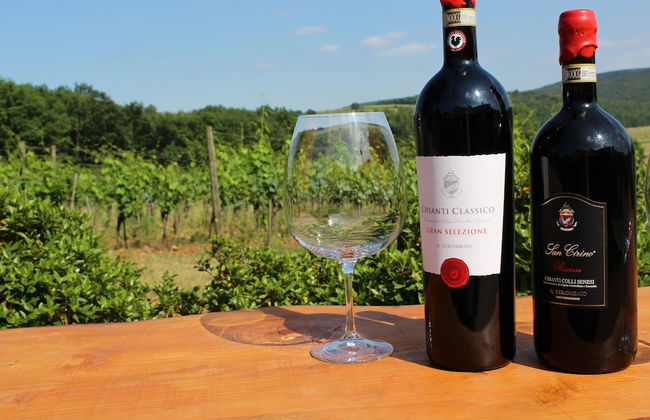 Il Colombaio Winery and Rooms - Foto 73